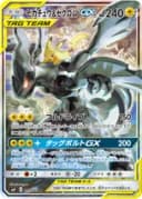ピカチュウ&ゼクロムGX（SR）